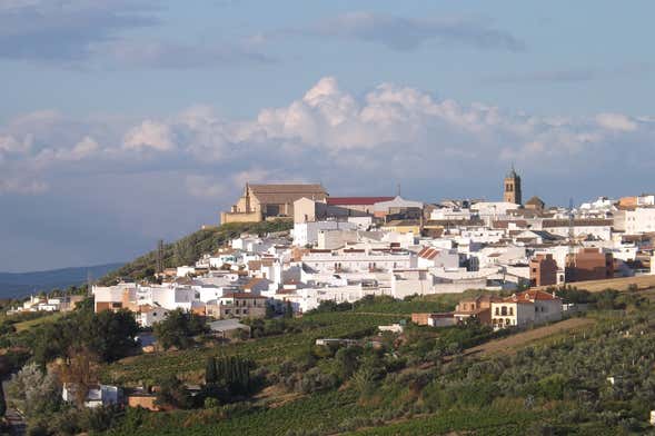 Visita guiada por Montilla