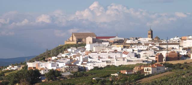 Visita guiada por Montilla