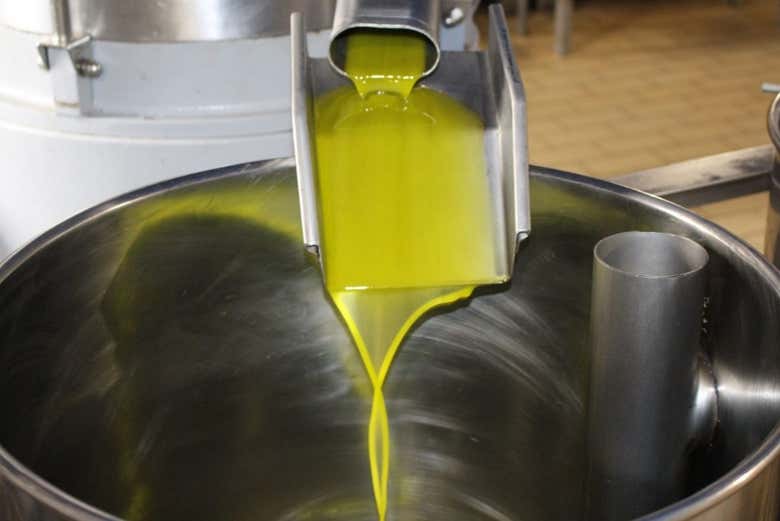 Descubriendo cómo se produce el aceite
