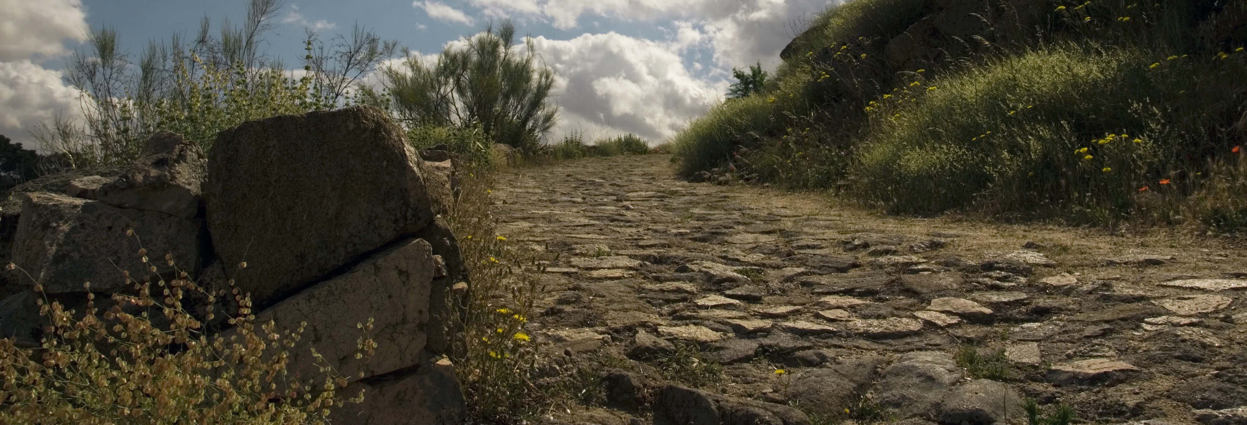 Visitas guiadas y free tours en Montoro