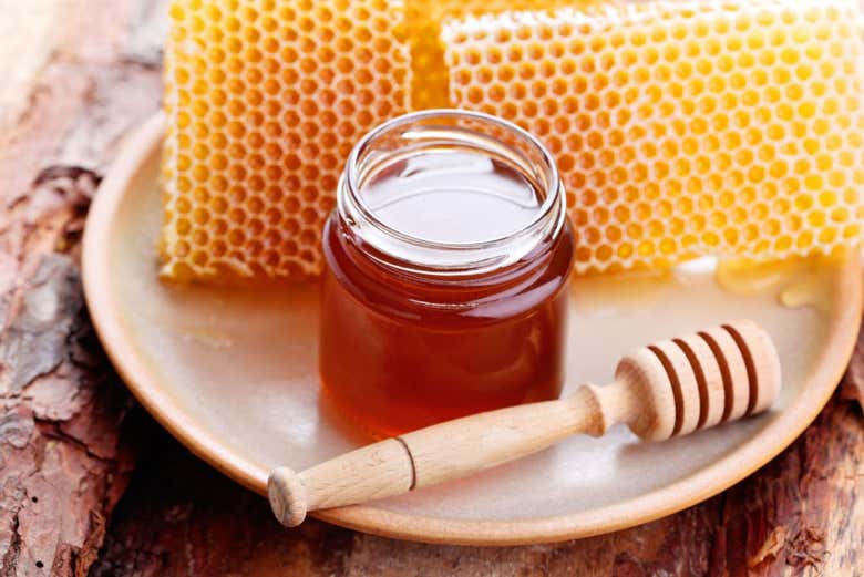 Degustación de miel durante la visita