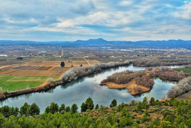 Islas del río Ebro