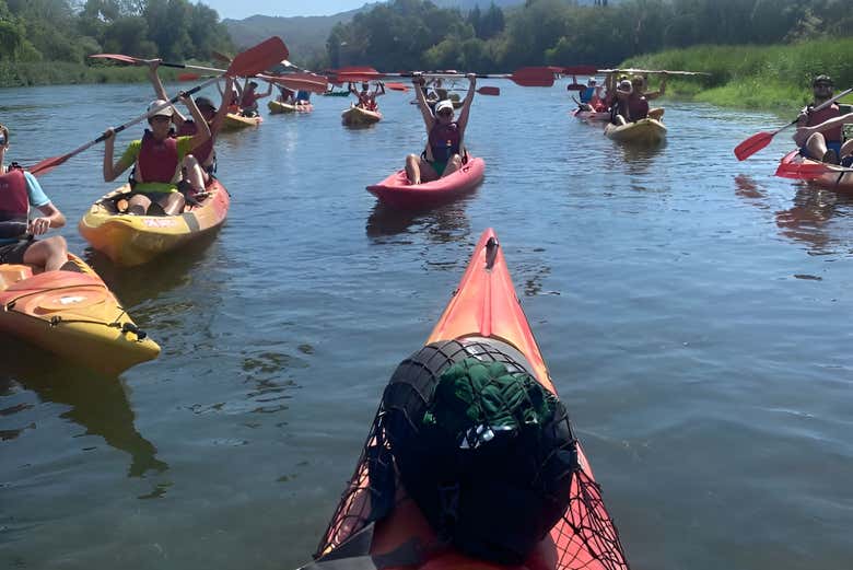 Diferentes tipos de kayak
