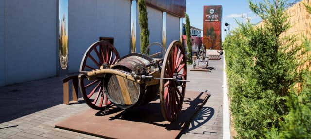 Visita guiada por el Museo del Vino Pagos Rey