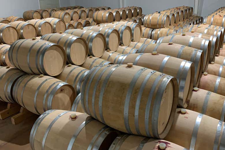 Barriles de las bodegas Licinia Wines