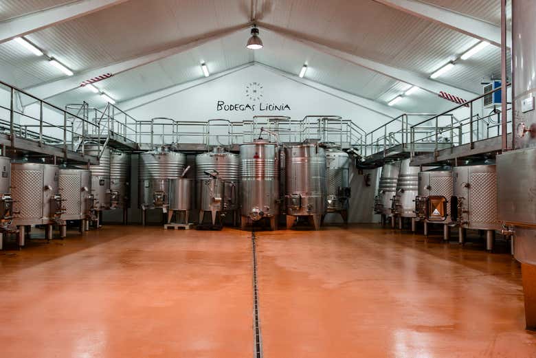 Interior de las bodegas