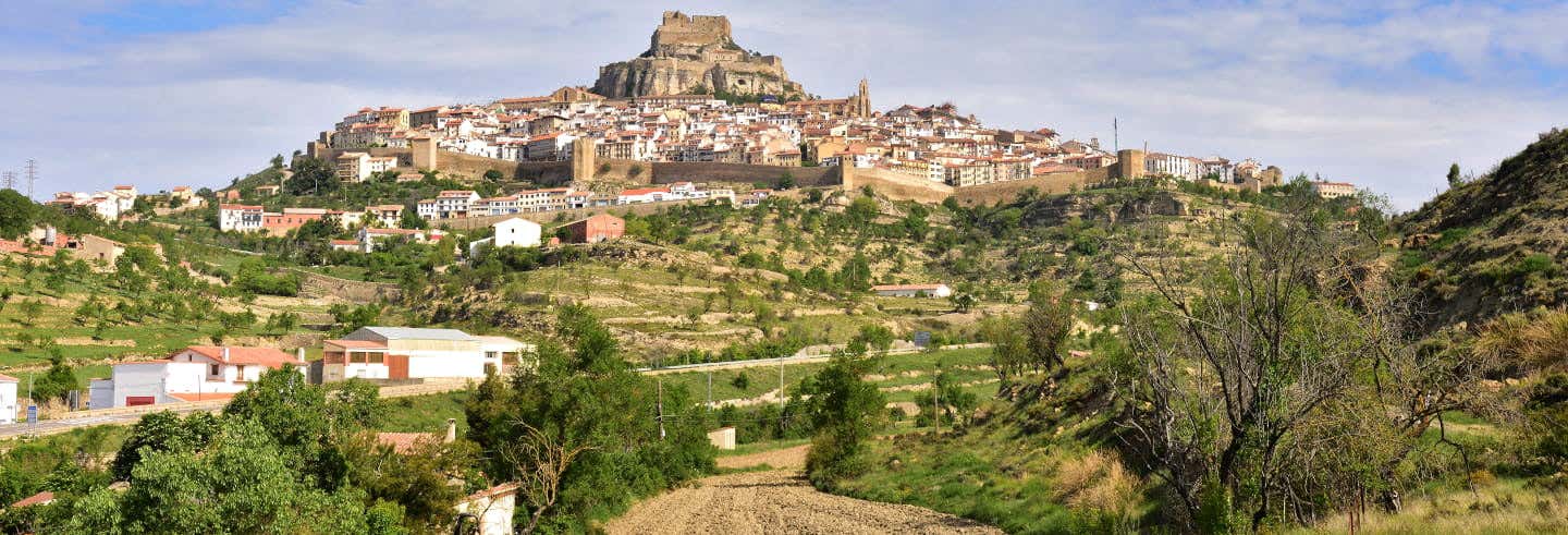 Morella