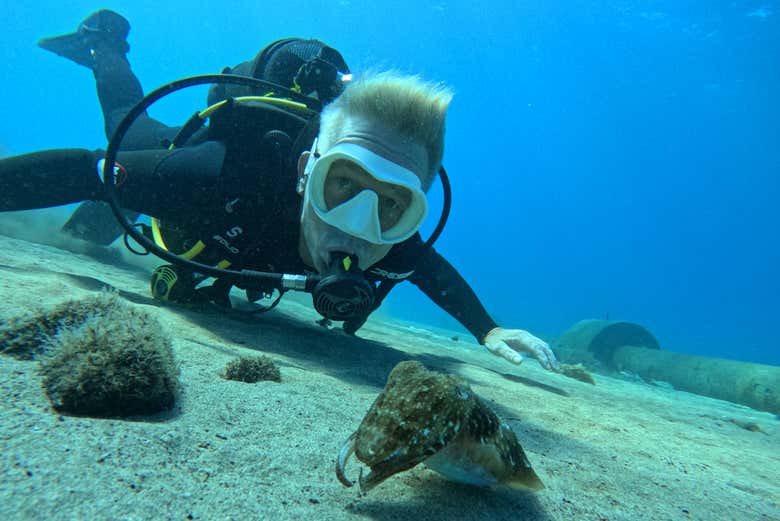 Viviréis una experiencia única en aguas del Atlántico