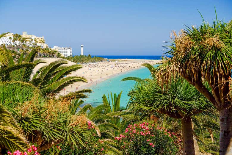 Panoramica della spiaggia di Morro Jable