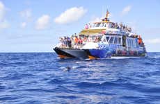 Glass Bottom Boat Cruise