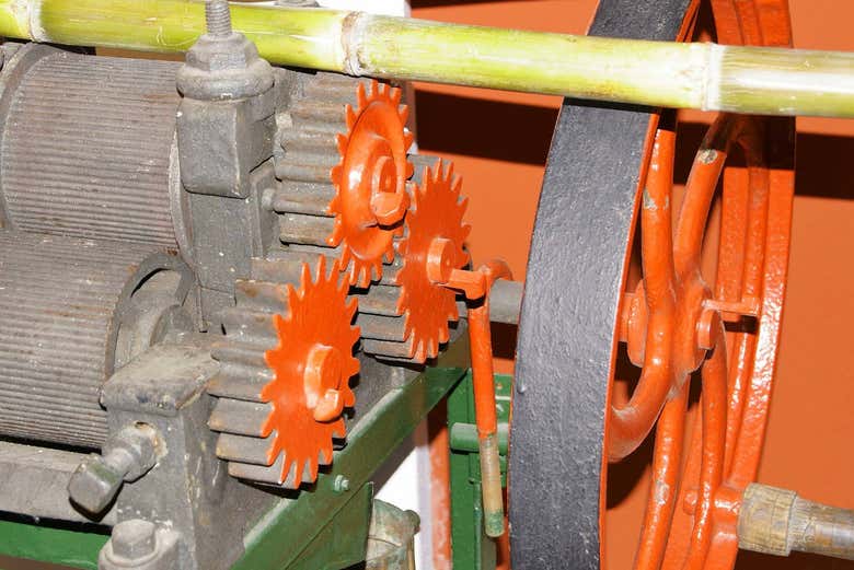 Máquina para el trabajo de la caña de azúcar