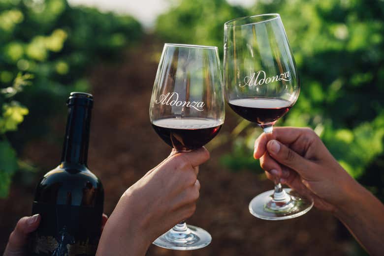 Say cheers with a glass of Aldonza red wine!