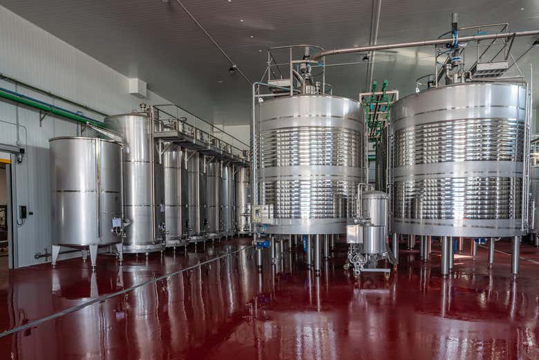 Learn how wine is made