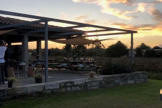 See the sunset at the vineyards