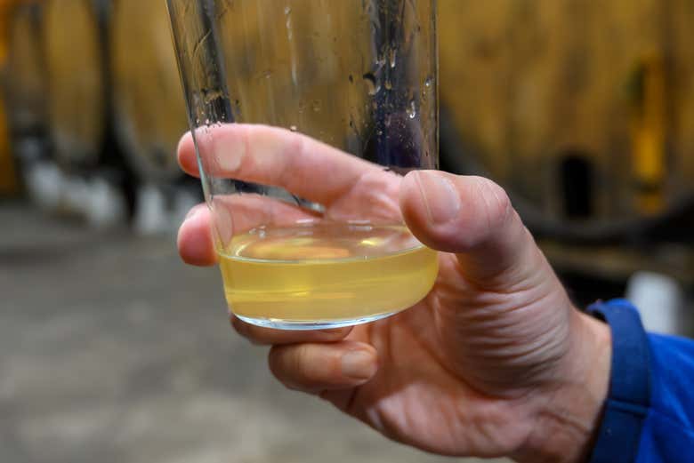 Le « culín » de cidre asturien se boit d'un seul trait