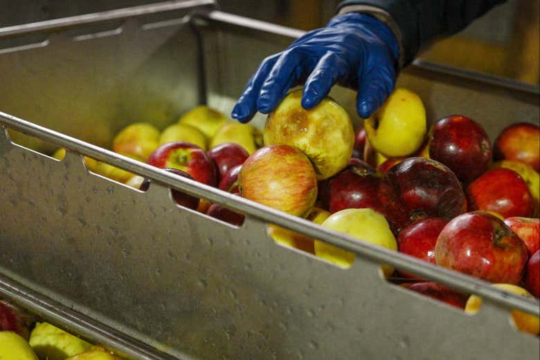 Pommes utilisées pour la production de cidre