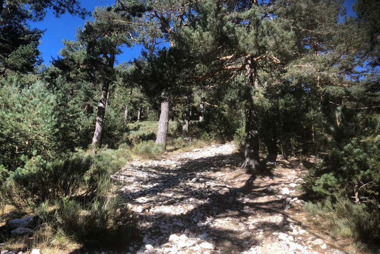 Senderismo por la Sierra de Guadarrama