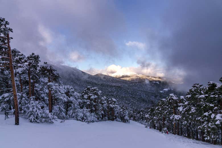 El camino Schmidt nevado
