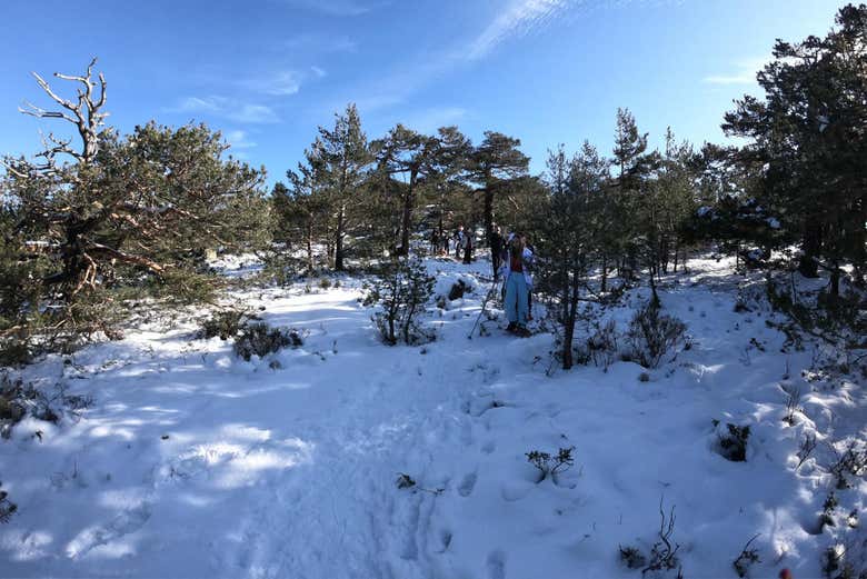 La Sierra de Guadarrama enneigée