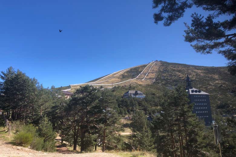 Contemplando las vistas