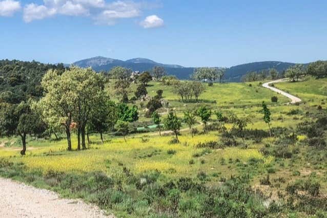 El bonito verde de este paraje natural