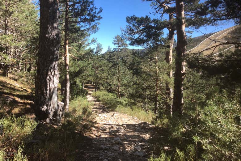 Ruta de senderismo por la Sierra de Guadarrama