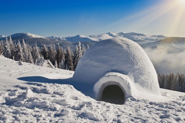 Paseo con raquetas de nieve + Construcción de un iglú
