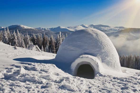 Raquetas de nieve + construcción de Iglú + trineo