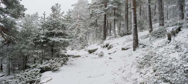 Paseo con raquetas de nieve por la Sierra de Guadarrama