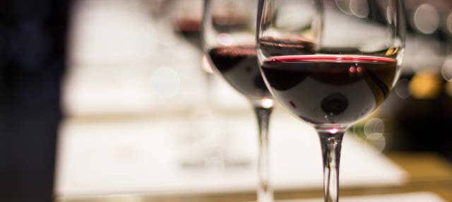 Visita a las bodegas Montecillo