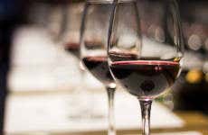 Visita a las bodegas Montecillo