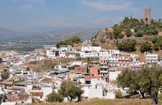 Axarquia Tropical Fruit Tour