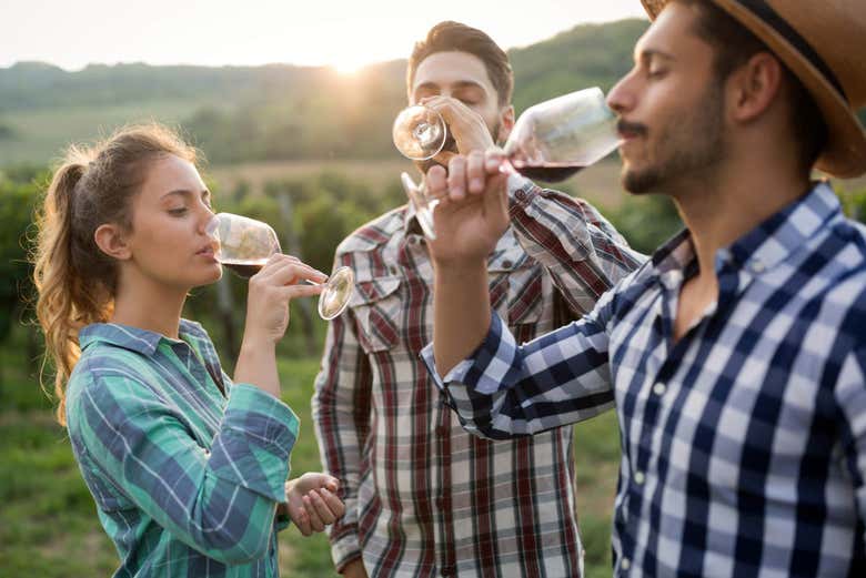 Degustando vinos malagueños