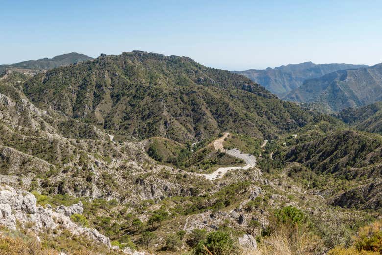 Admirando el paisaje