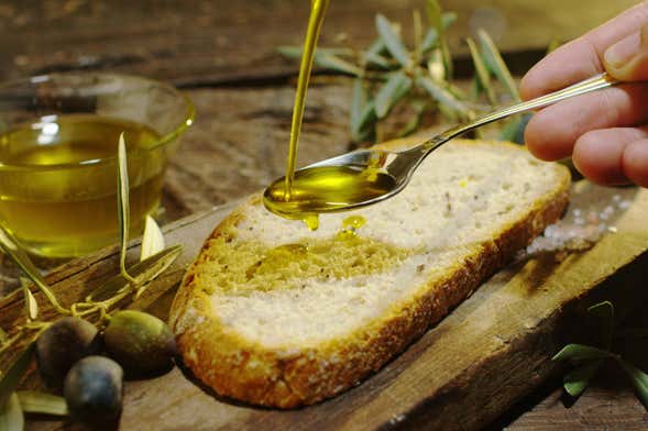Tour del aceite por Alfarnate y Alfarnatejo
