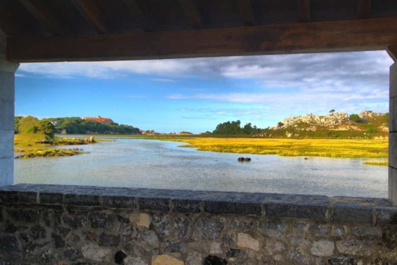 Marismas de Victoria