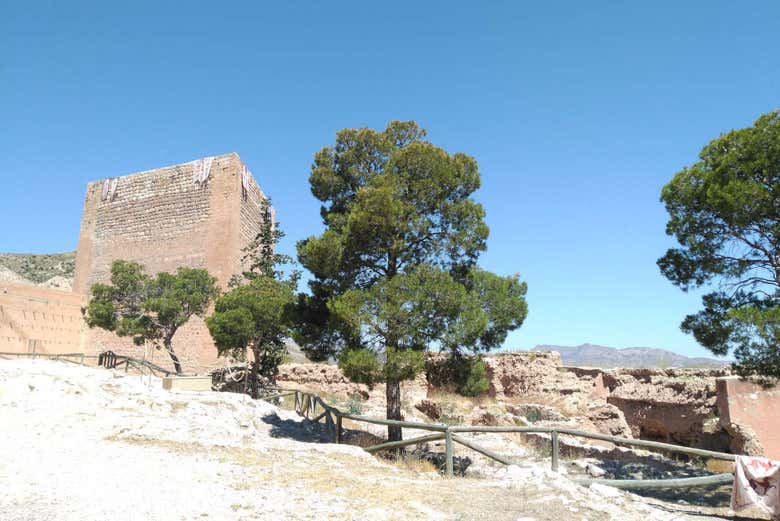 Castillo de Novelda