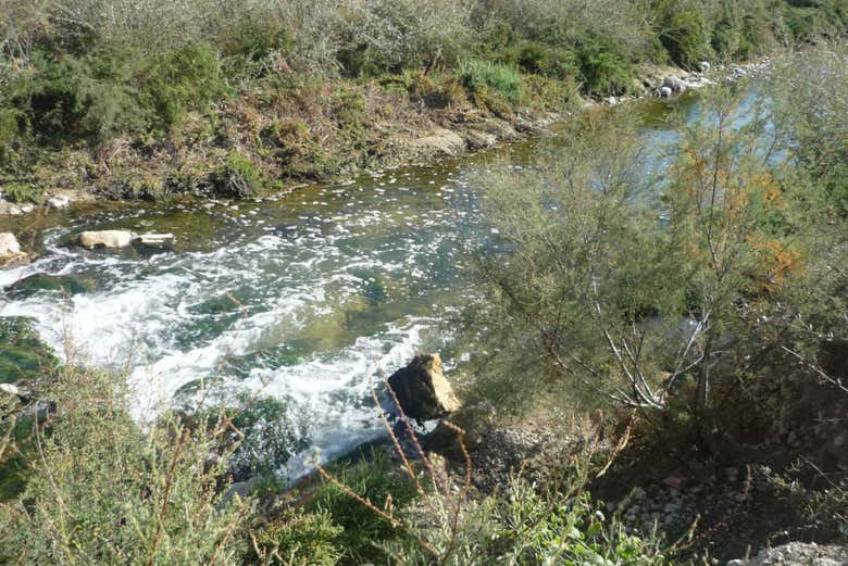 Río Vinalopó