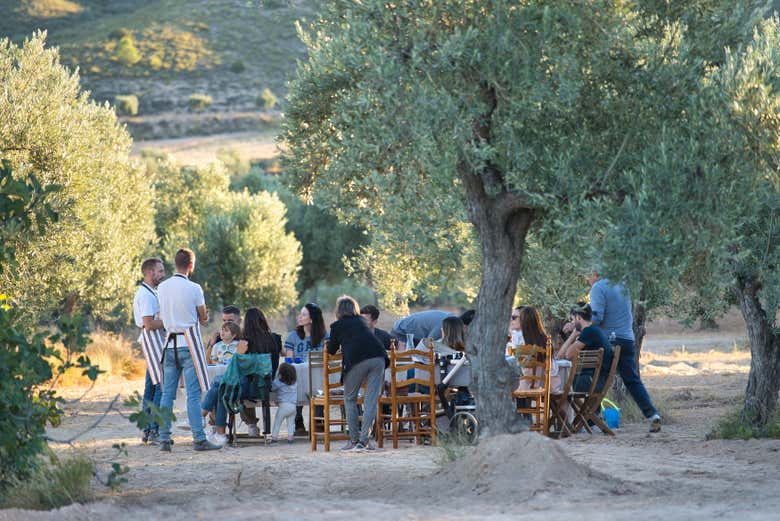 Enjoy a tasting of olive oils paired with gourmet products