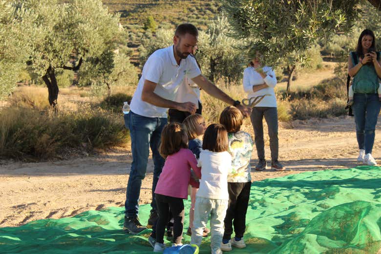 A perfect activity for family fun