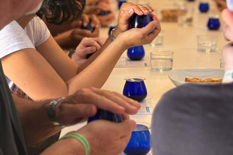 Cata sensorial de nuestros aceites