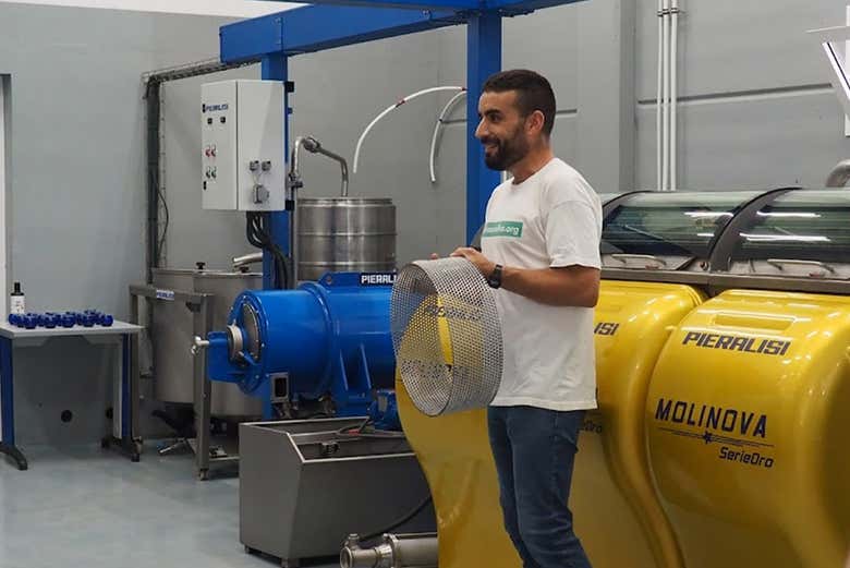 Learn all about the process of making olive oil