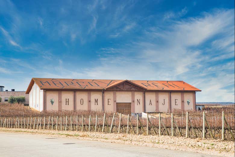 Explore the winery's facilities