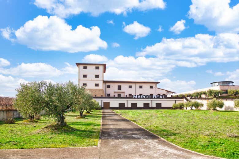 Learn about how wine is made in Olite