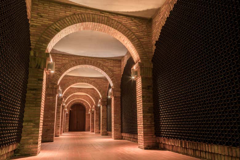 Indulge in a wine tasting at the end of the tour