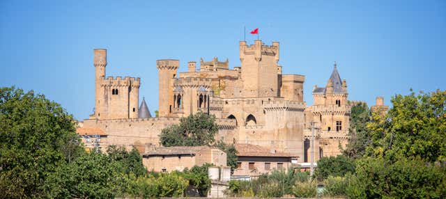 Tour privado por Olite y su castillo