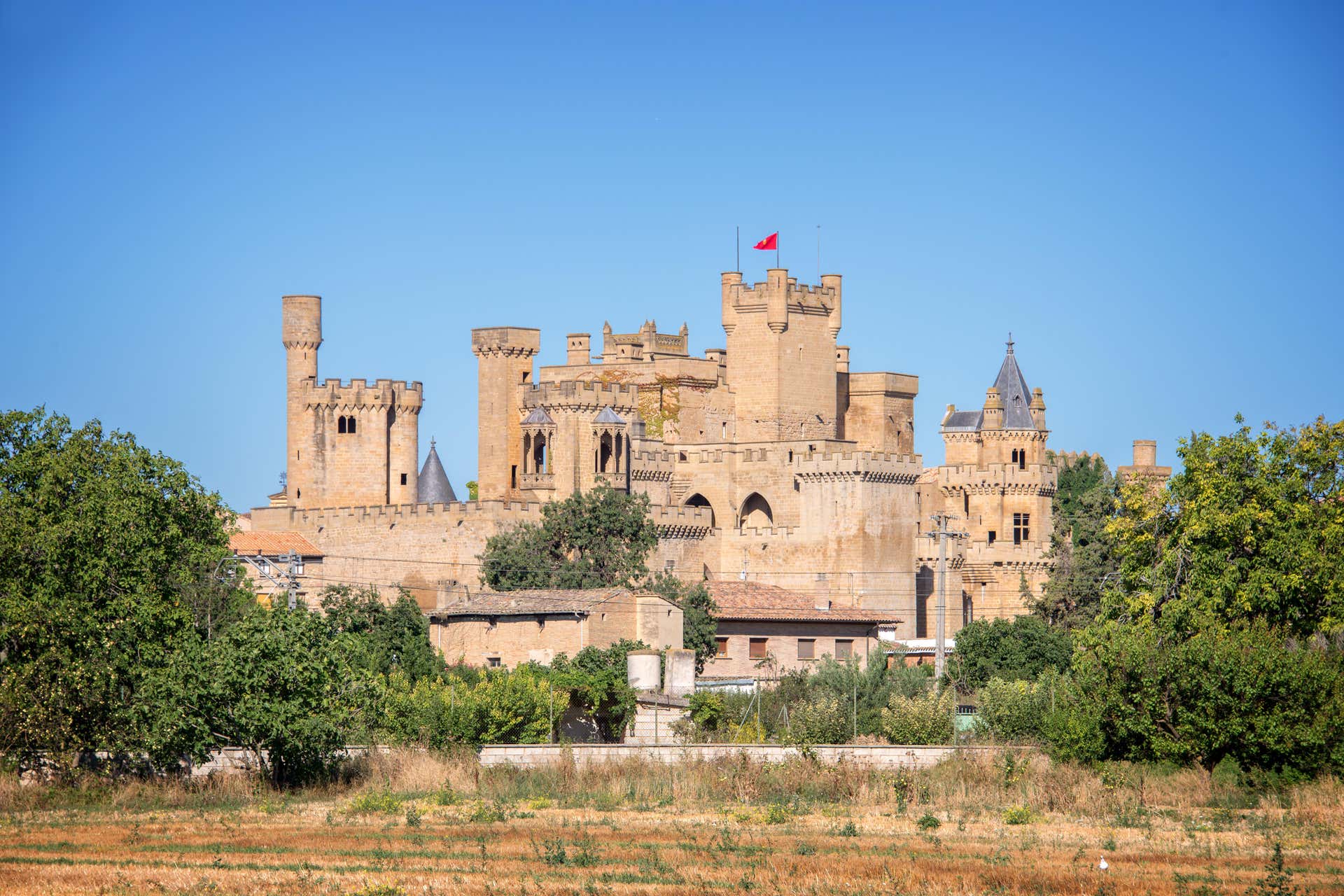 Olite Tour privado por Olite y su castillo - Reserva en Civitatis.com