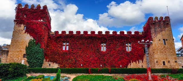 Visita guiada por Olite y su castillo