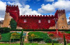 Visita guiada por Olite y su castillo