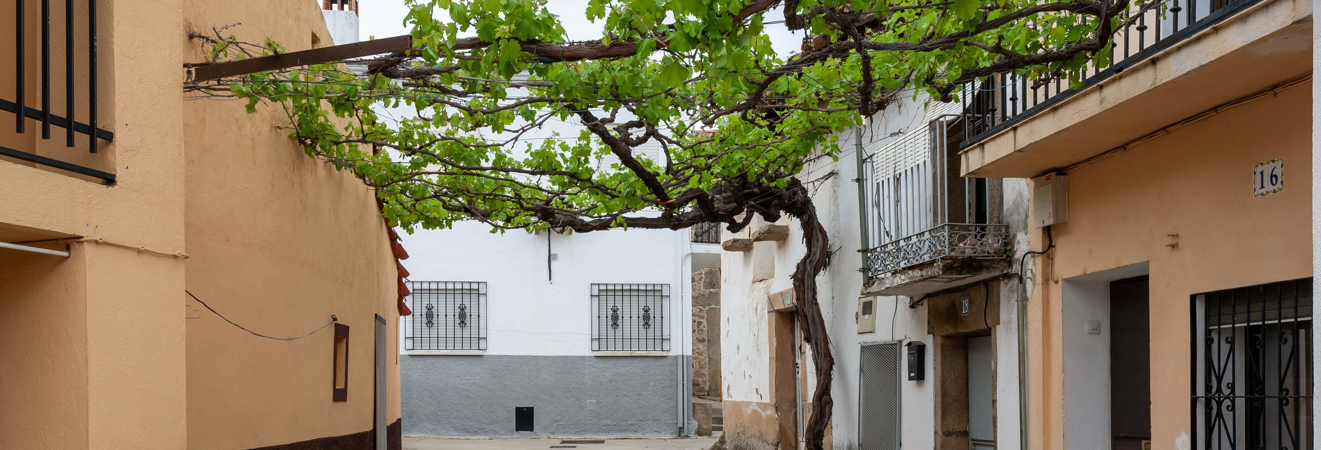 Oliva de Plasencia